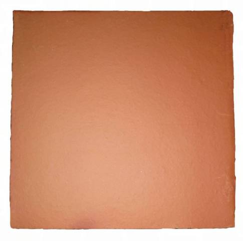 Carreau de Terre Cuite Tradition 20x20 Orange Nuanc