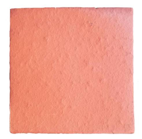 Carreau de Terre Cuite Tradition 12x12 Orange Nuanc